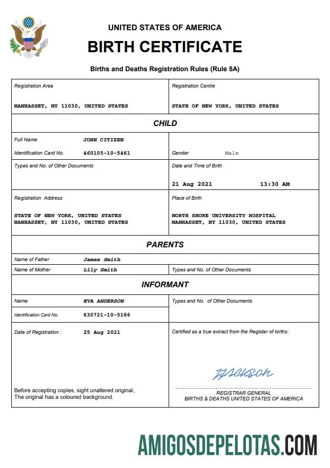 Para baixar modelo Word e PDF de certidão de nascimento nos EUA